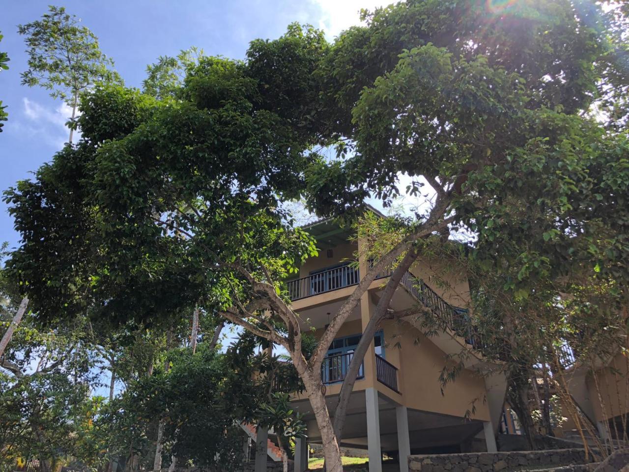 Palace Mirissa Luaran gambar